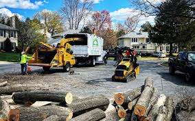 Best Tree Risk Assessment  in Nags Head, NC